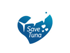 save-tuna-dribbble